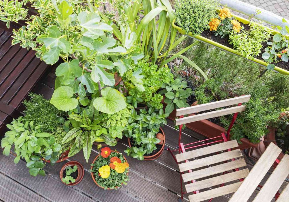 Top 10 Simple Balcony Garden Ideas for an Optimized Space