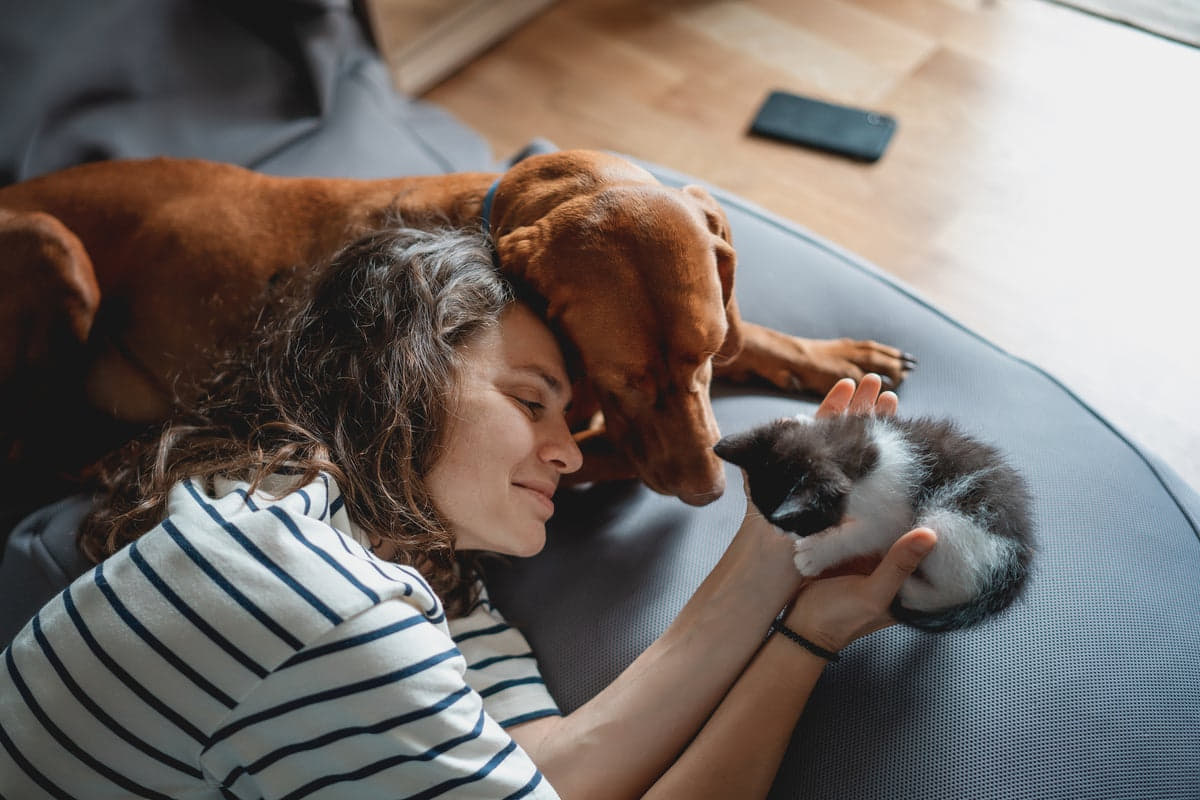Can a Landlord Require Pet Insurance?