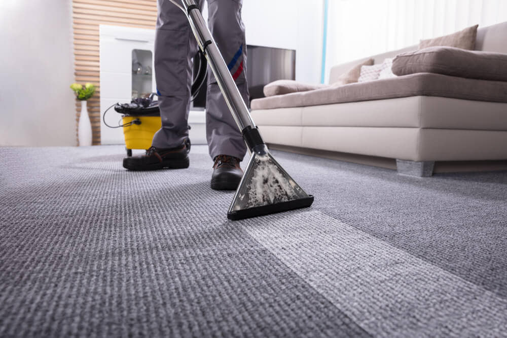 Do Apartments Change Carpet After Every Tenant?
