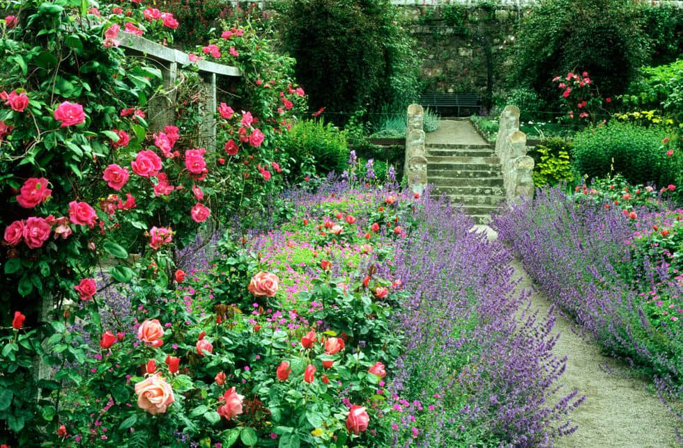 12 Stunning Flower Garden Aesthetic Ideas to Transform Your Outdoor Space