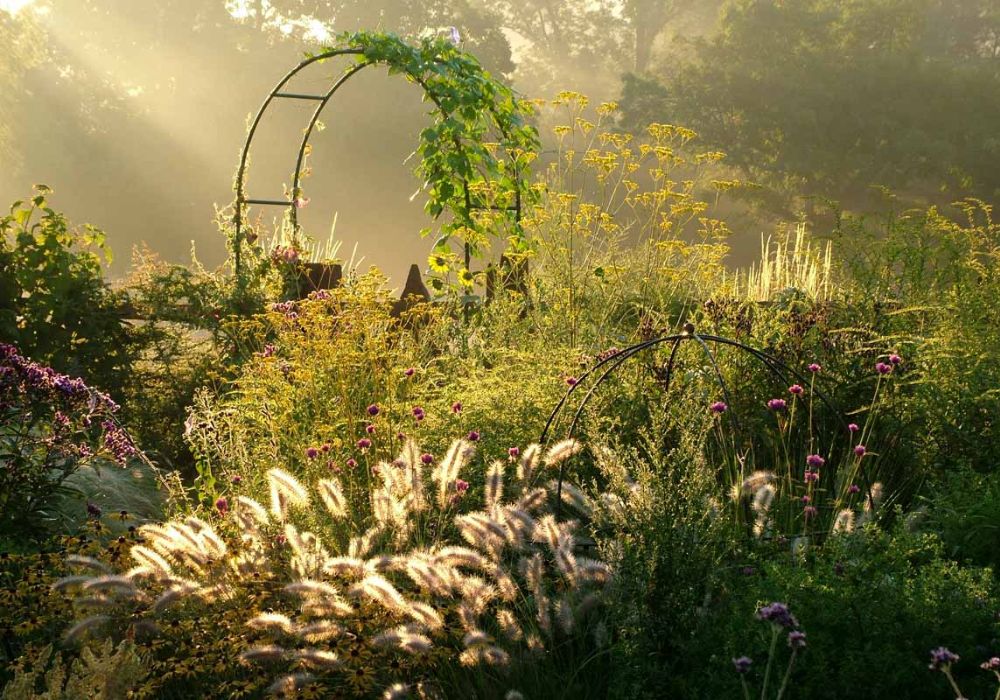 12 Beautiful Garden Aesthetic Concepts and Designs
