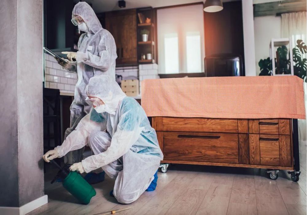 How Can A Landlord Prove You Brought In Bed Bugs?