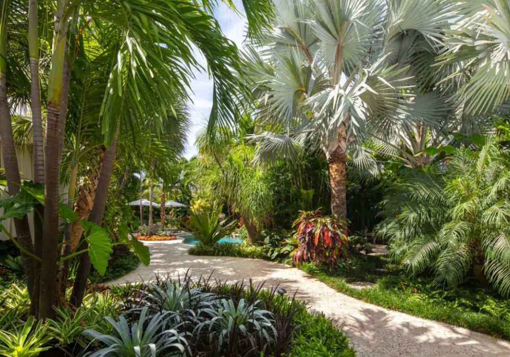 Discover 10 Inspiring Tropical Garden Ideas for Your Oasis