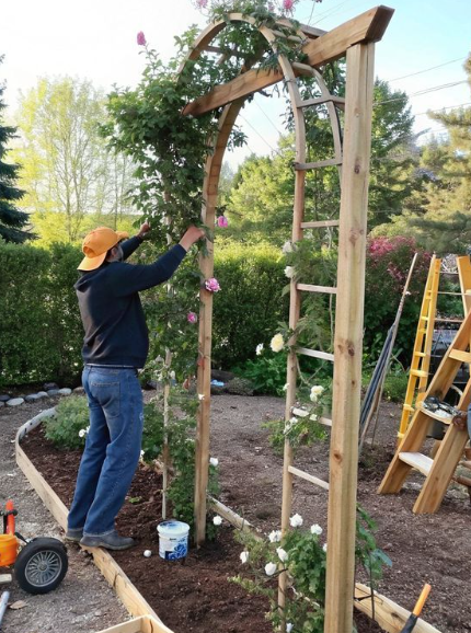 25-stunning-trellis-ideas-for-garden-transformation