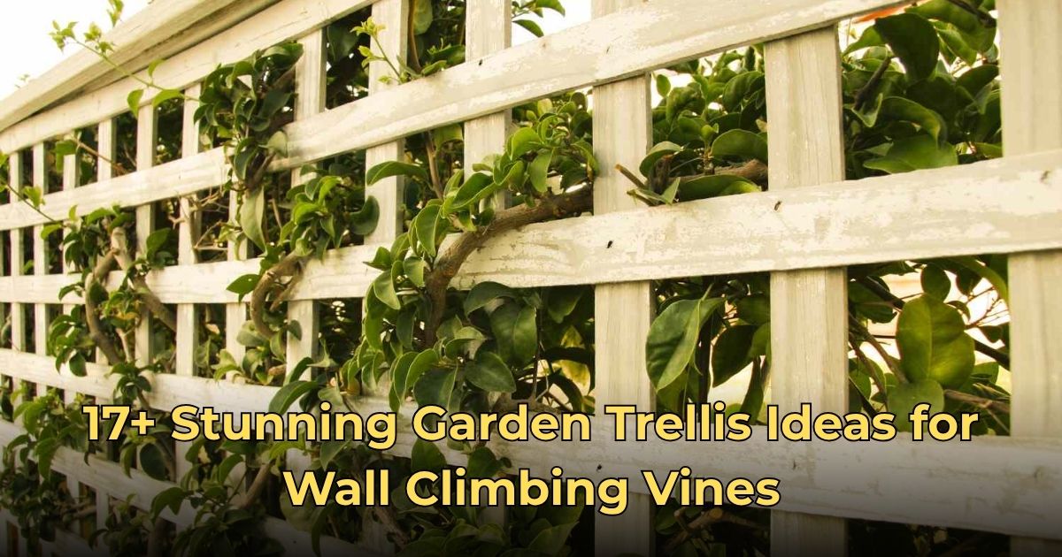 17+ Stunning Garden Trellis Ideas for Wall Climbing Vines